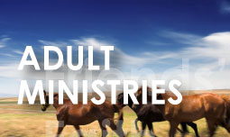 adult bible study groups