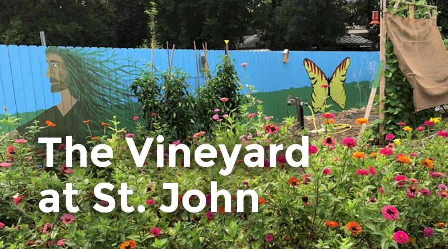 The Vineyard at St. John