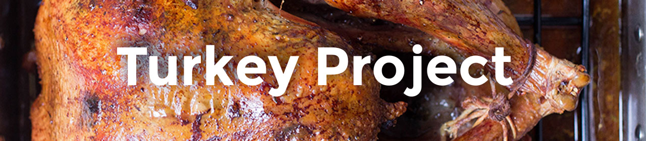 Turkey Project